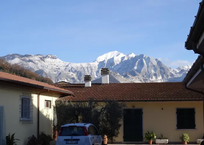 Merlo d'Oro Carrara