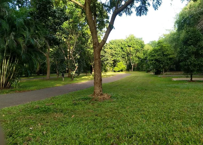 Palmerston City Hotels