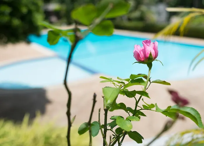 Hotels in Strand Surin